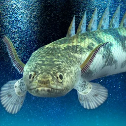 Icône de My ancient fish Aquarium